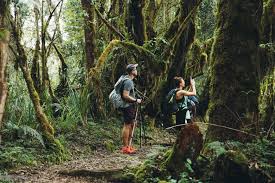 6 Days Marangu Route