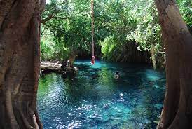 Kikuletwa Hotspring (Hotwater Spring) Day Tour