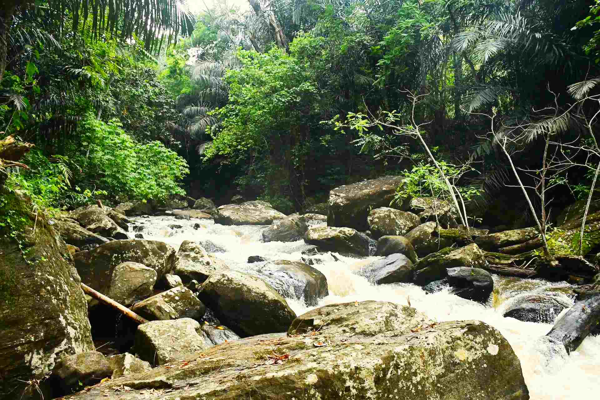 Marangu Waterfalls & Culture Tour