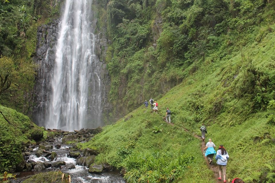 Coffee Plantation & Materuni waterfalls