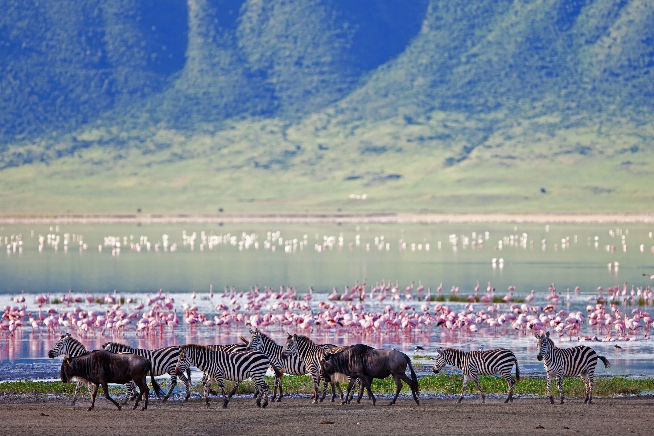  Arusha National Park Day Trip