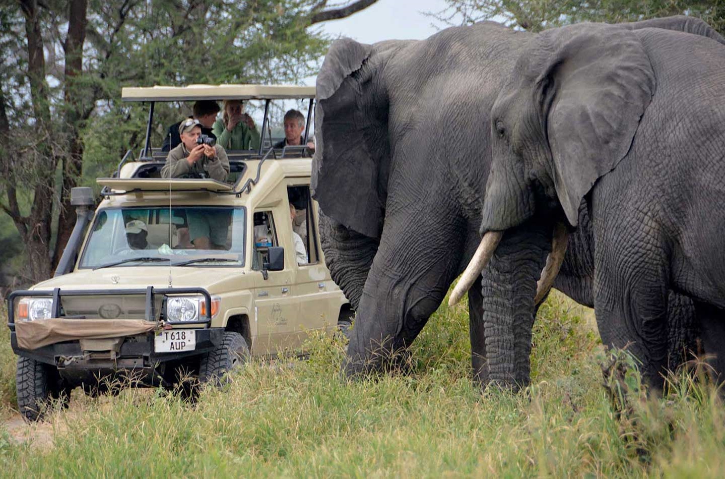 Tarangire National Park Day Tour