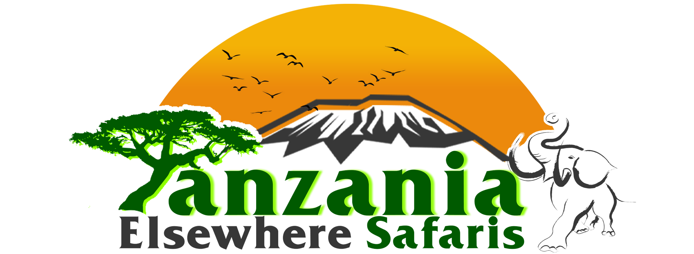 safari tanzania 3 days