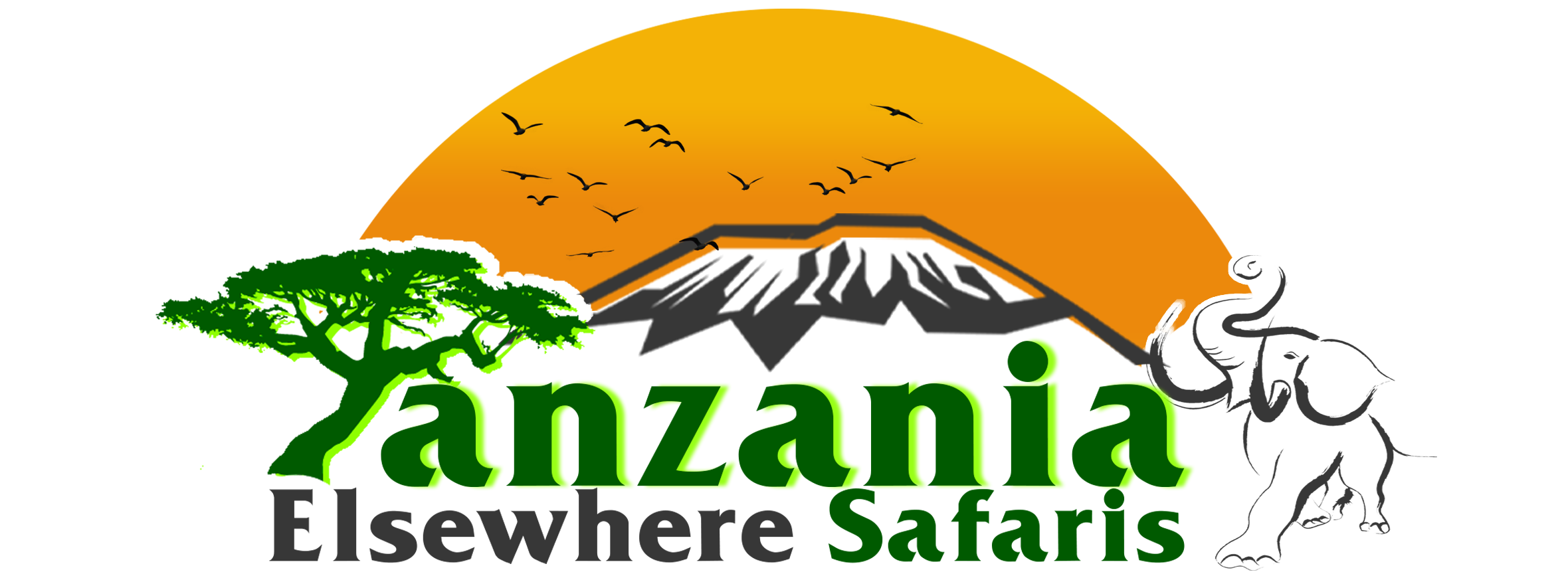 safari company ltd tanzania