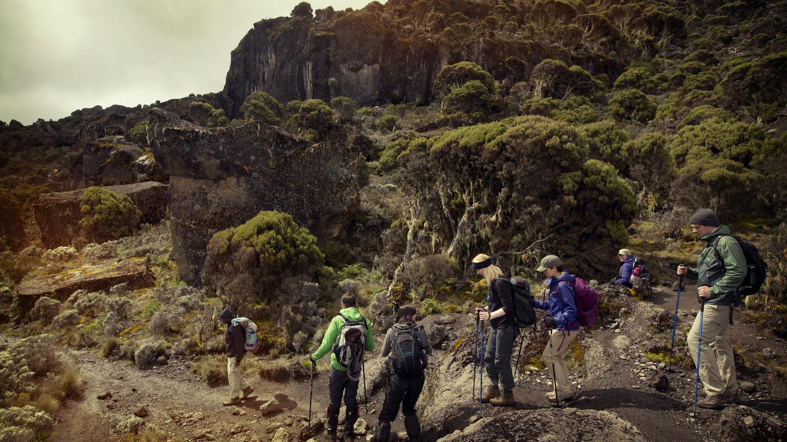 machame 1